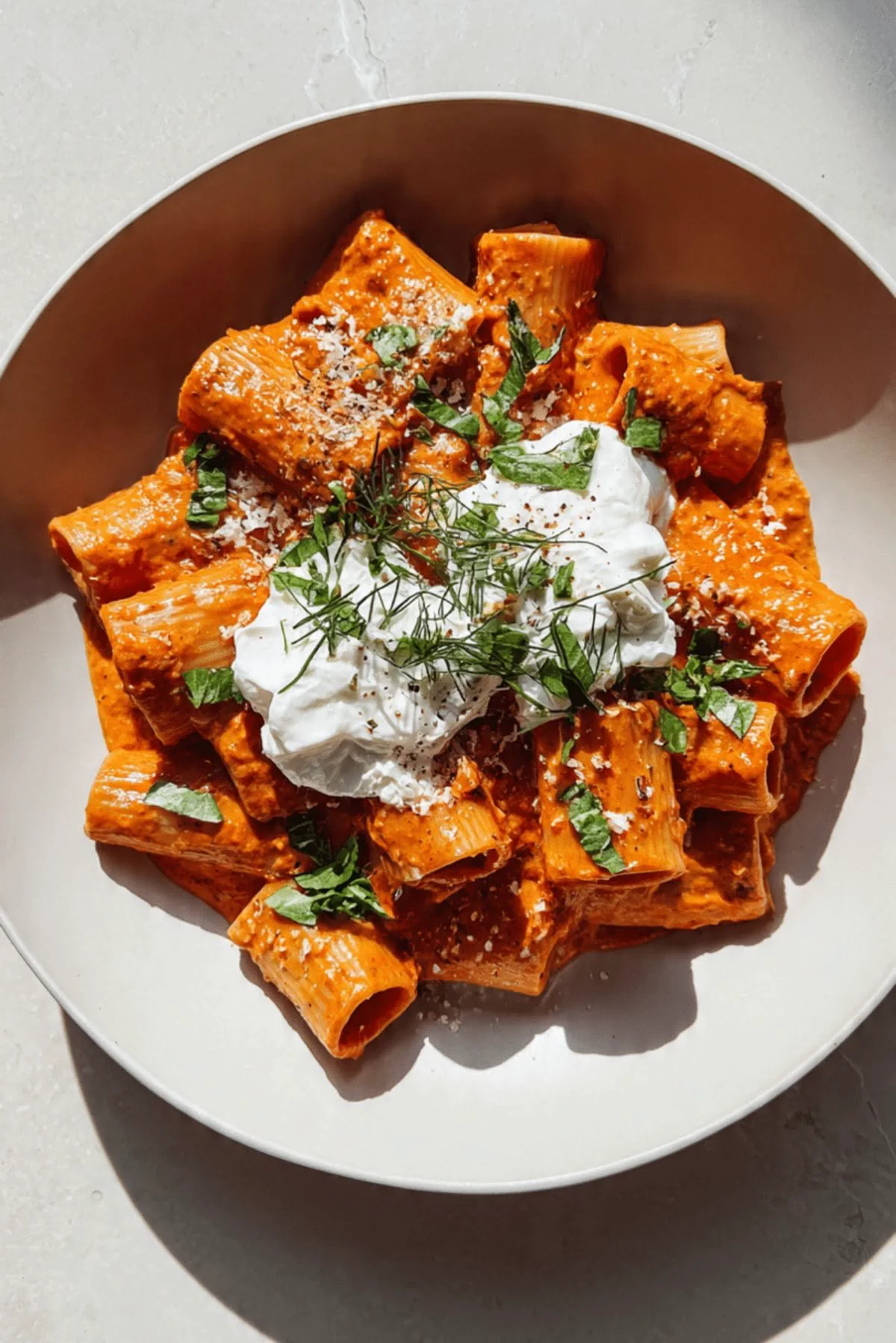 Rigatoni in a creamy tomato sauce with burrata and herbs